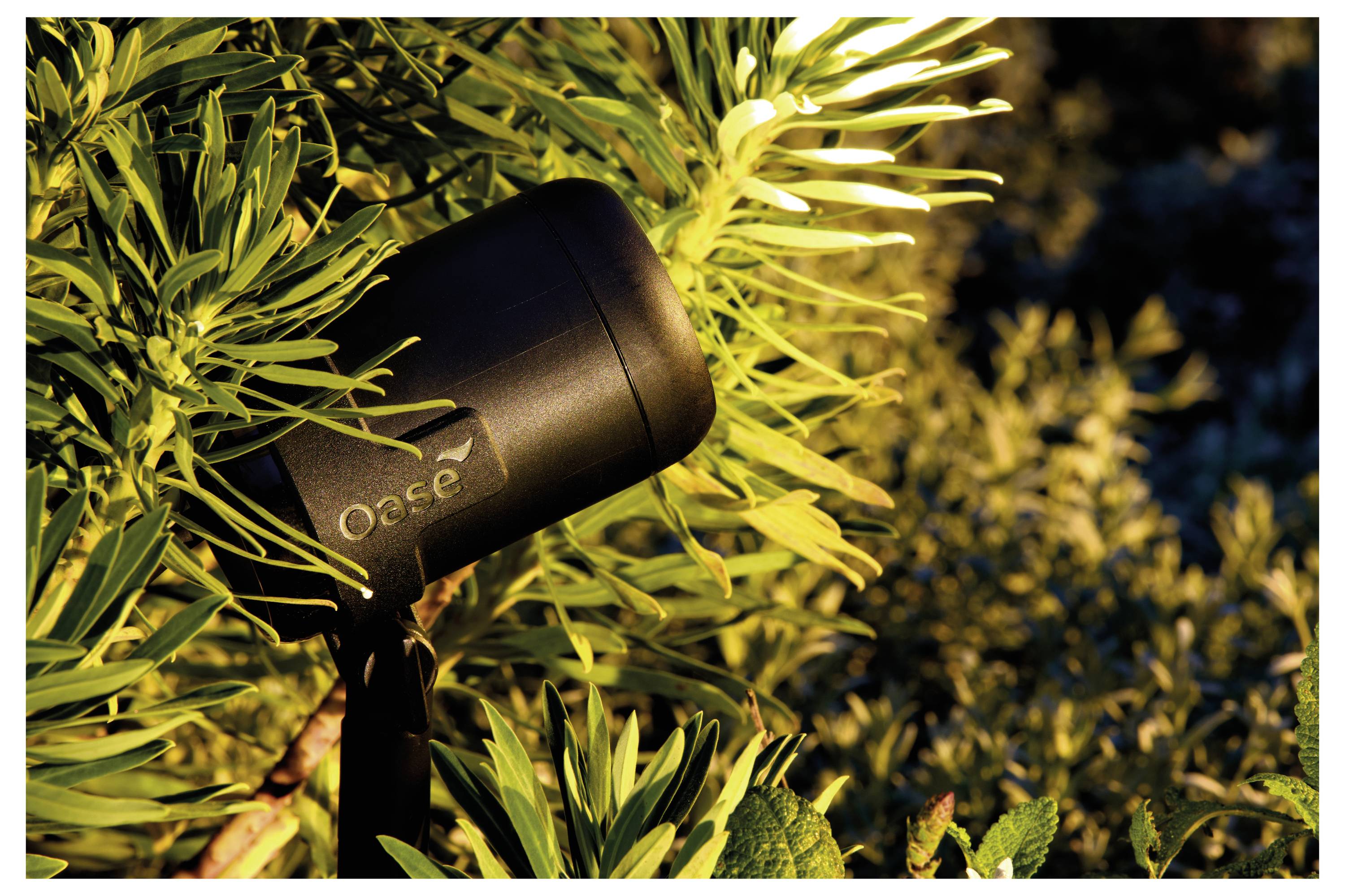 Außenscheinwerfer, teilweise von Blattwerk verdeckt, der Blätter in warmem Licht beleuchtet.