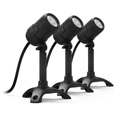Drei schwarze, verstellbare LED-Flutlichtstrahler sind auf Ständern montiert, in einer Reihe positioniert und leicht nach oben gerichtet zur Beleuchtung.