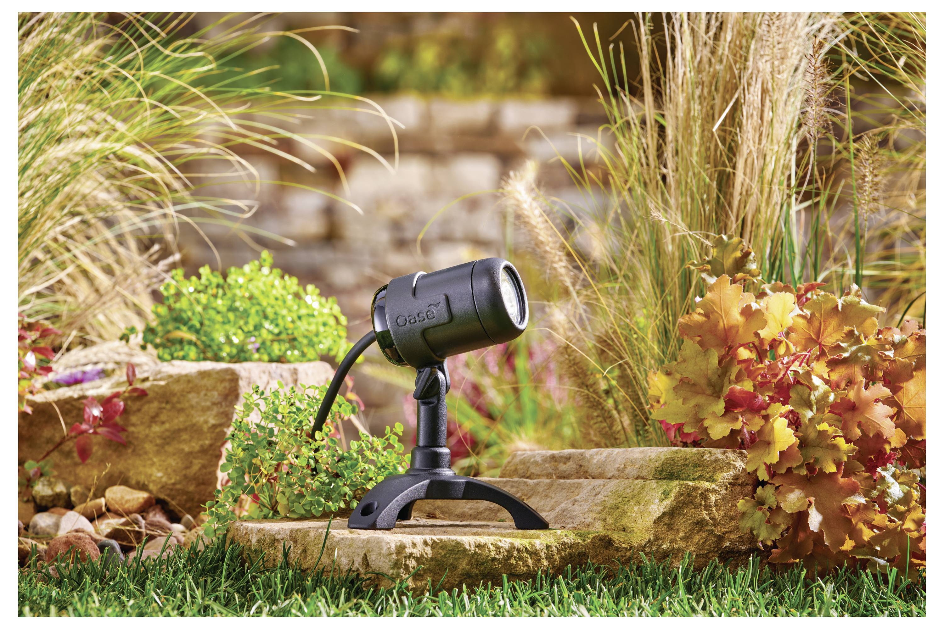 Ein Landschaftsspotlight ist zwischen Pflanzen und Steinen in einem Garten montiert, der die umgebende Vegetation mit fokussiertem Licht beleuchtet.
