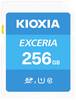 Kioxia EXCERIA SDXC-Karte 256 GB UHS-I Röntgenstrahlenbeständig