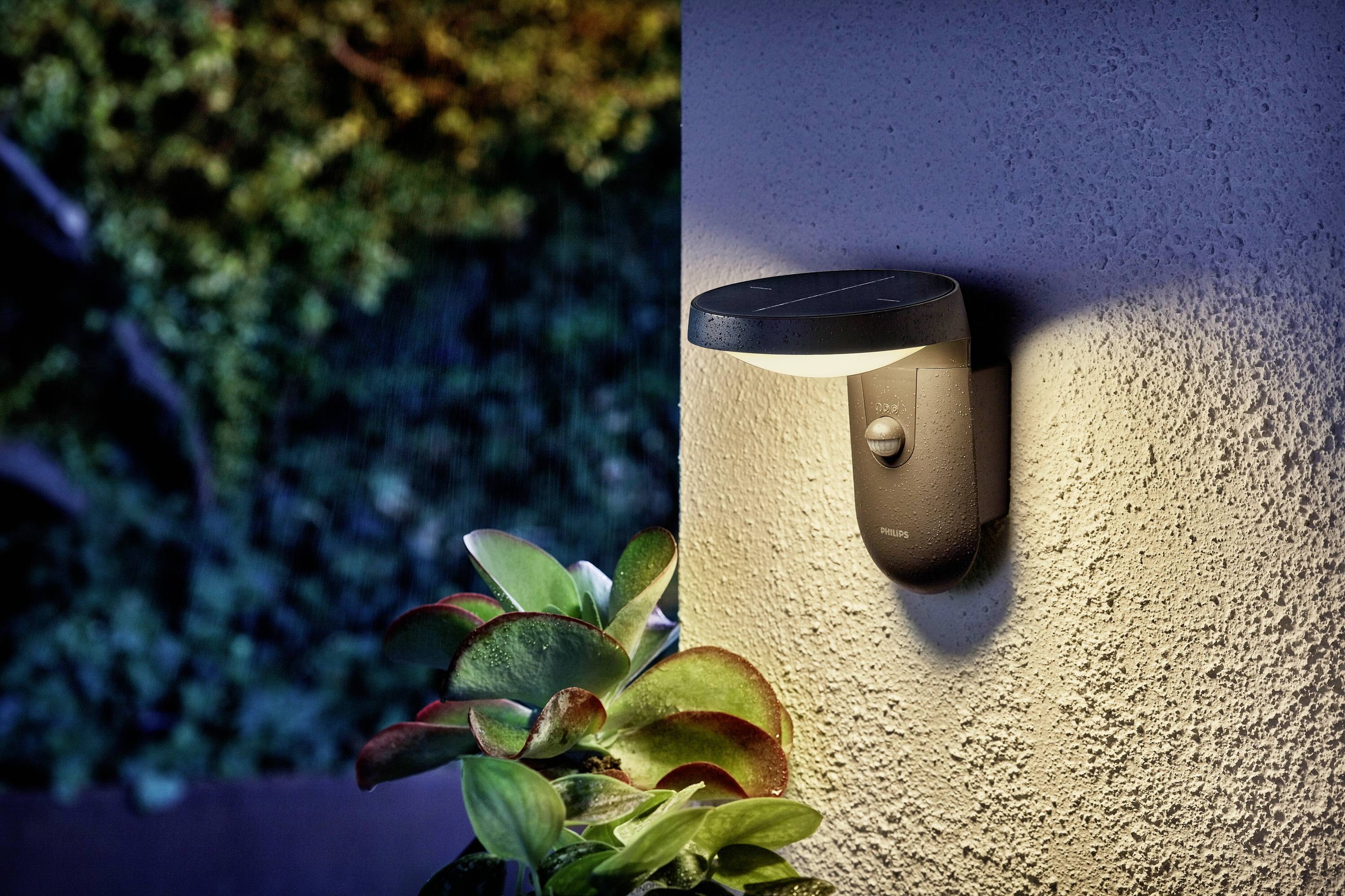 Eine Außenwandleuchte beleuchtet eine Hauswand neben Pflanzen in der Dämmerung.