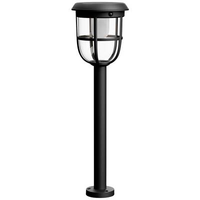 Eine schwarze moderne Gartenleuchte mit transparentem, rundem Lampenschirm, auf einem hohen, schlanken Standfuß montiert.