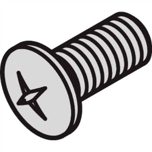 nVent SCHROFF 21101381 Senkkopfschraube 1 St.