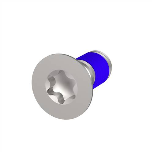 nVent SCHROFF 24566106 Senkkopfschraube 1 St.