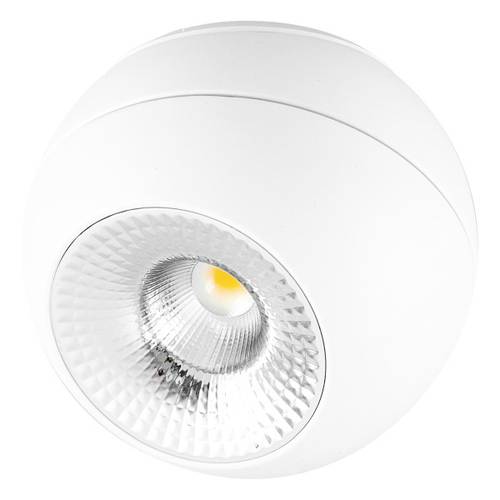 EVN EVN Lichttechnik ASA20100102 LED-Deckenstrahler