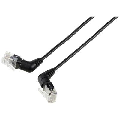 Zwei schwarze Ethernet-Kabel mit durchsichtigen Steckern, übereinanderliegend.