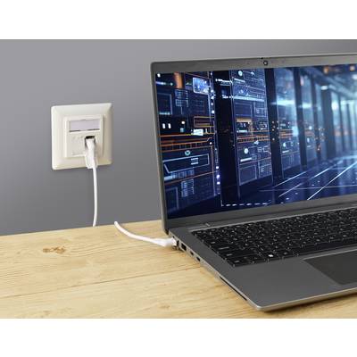 Ein Laptop auf einem Tisch ist über ein Kabel mit einer Netzwerkwanddose verbunden. Auf dem Bildschirm sind digitale Netzwerkdiagramme sichtbar.