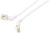 Renkforce RF-6071570 RJ45 Patchkabel CAT 8 S/FTP 0.50 m Weiß Steckkontakte 360° drehbar, Gewinkelter Kabelabgang 1 St.