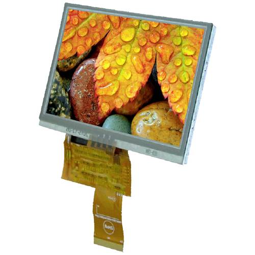 Thumbnail - Display Elektronik Grafik-Display Weiß 800 x 480 Pixel (B x H x T) 120.70 x 75.80 x 4.3 mm