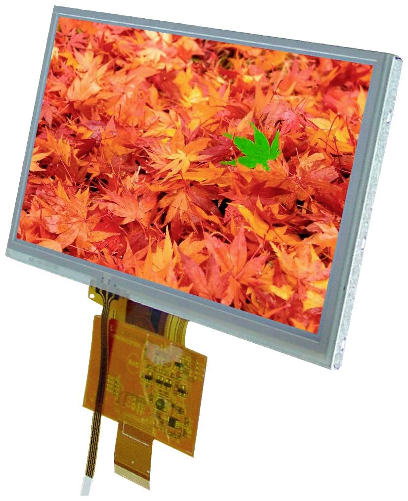 Display Elektronik Grafik-Display Weiß 800 x 480 Pixel (B x H x T) 165.00 x 100.00 x 7.0 mm