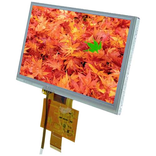 Display Elektronik Grafik-Display Weiß 800 x 480 Pixel (B x H x T) 165.00 x 100.00 x 7.0 mm