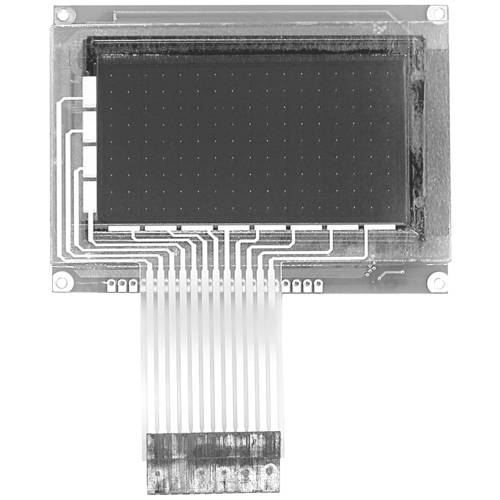Thumbnail - Display Elektronik Grafik-Display Weiß 128 x 64 Pixel (B x H x T) 93.00 x 70.00 x 15.1 mm