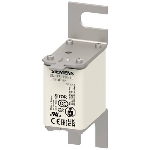 Siemens 3NB17250KK13 Sicherungseinsatz 1 St.