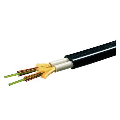 Ein schwarzes Glasfaserkabel mit orangefarbenen und grünen Drähten im Inneren, sichtbar aus einer offenen Spitze.