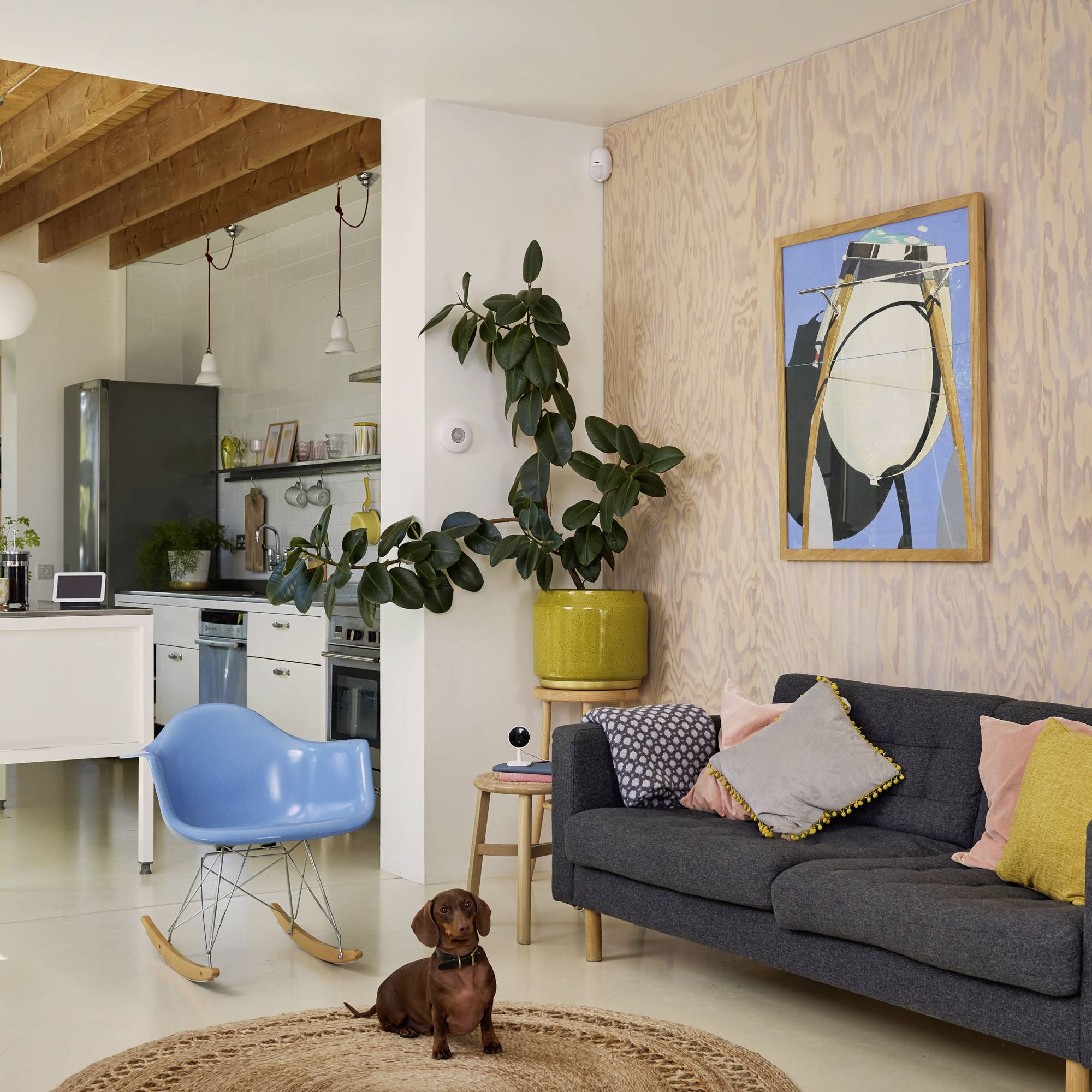 Ein Wohnzimmer mit einer grauen Couch, bunten Kissen, einem blauen Schaukelstuhl und einem Hund auf einem Teppich. Kunstwerk an der Wand.