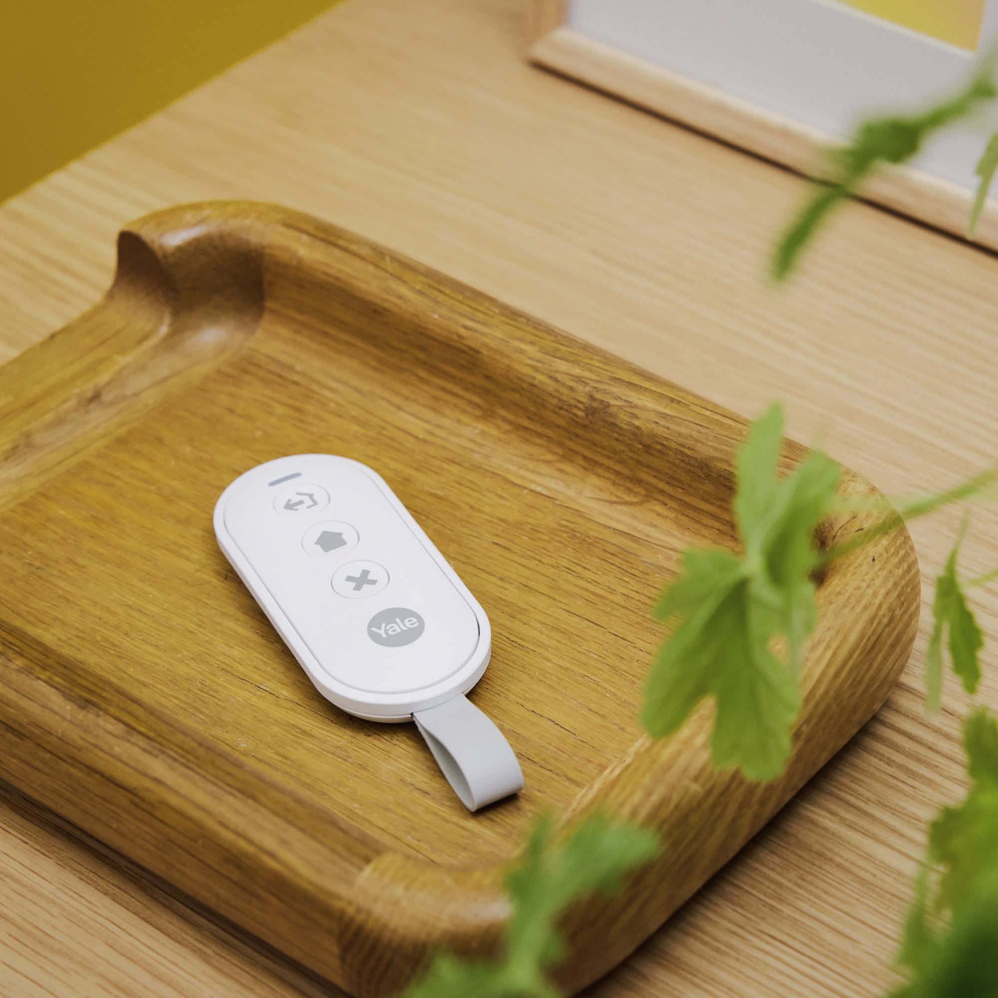 Eine weiße Fernbedienung mit drei Tasten liegt auf einem Holztablett. Im Vordergrund ist eine grüne Pflanze zu sehen.