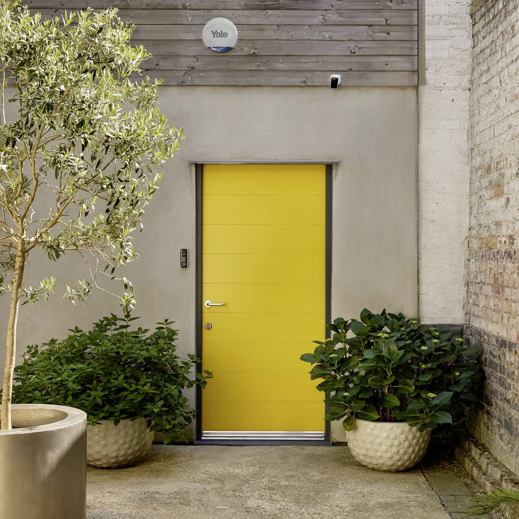 Gelbe Tür in einer modernen Fassade, flankiert von zwei Pflanzen in großen Töpfen. Links ein Olivenbaum, rechts Büsche.