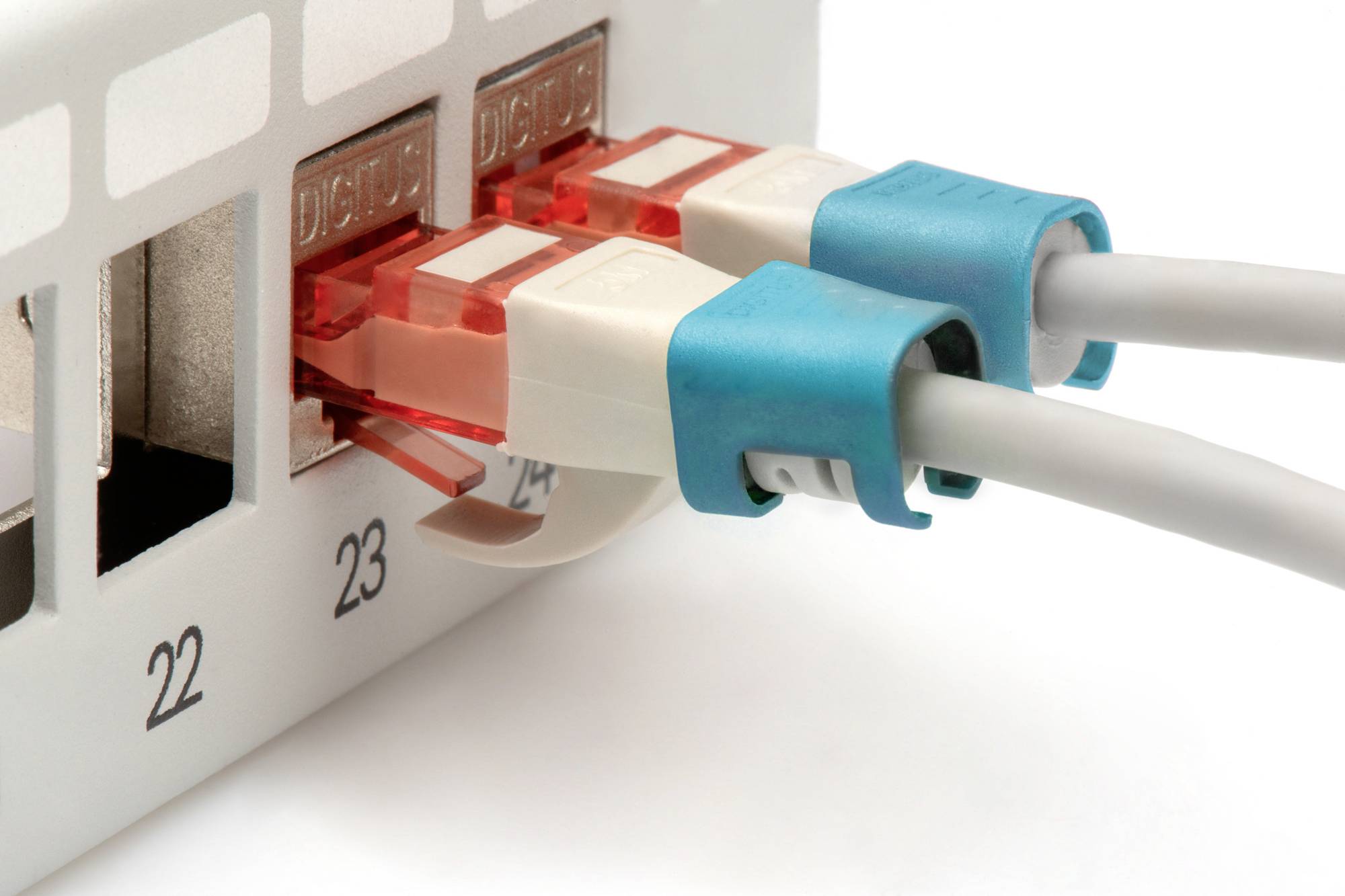 Zwei Netzwerk-Kabel sind in einen Router oder Switch eingesteckt, in den Ports mit den Nummern 23 und 24.
