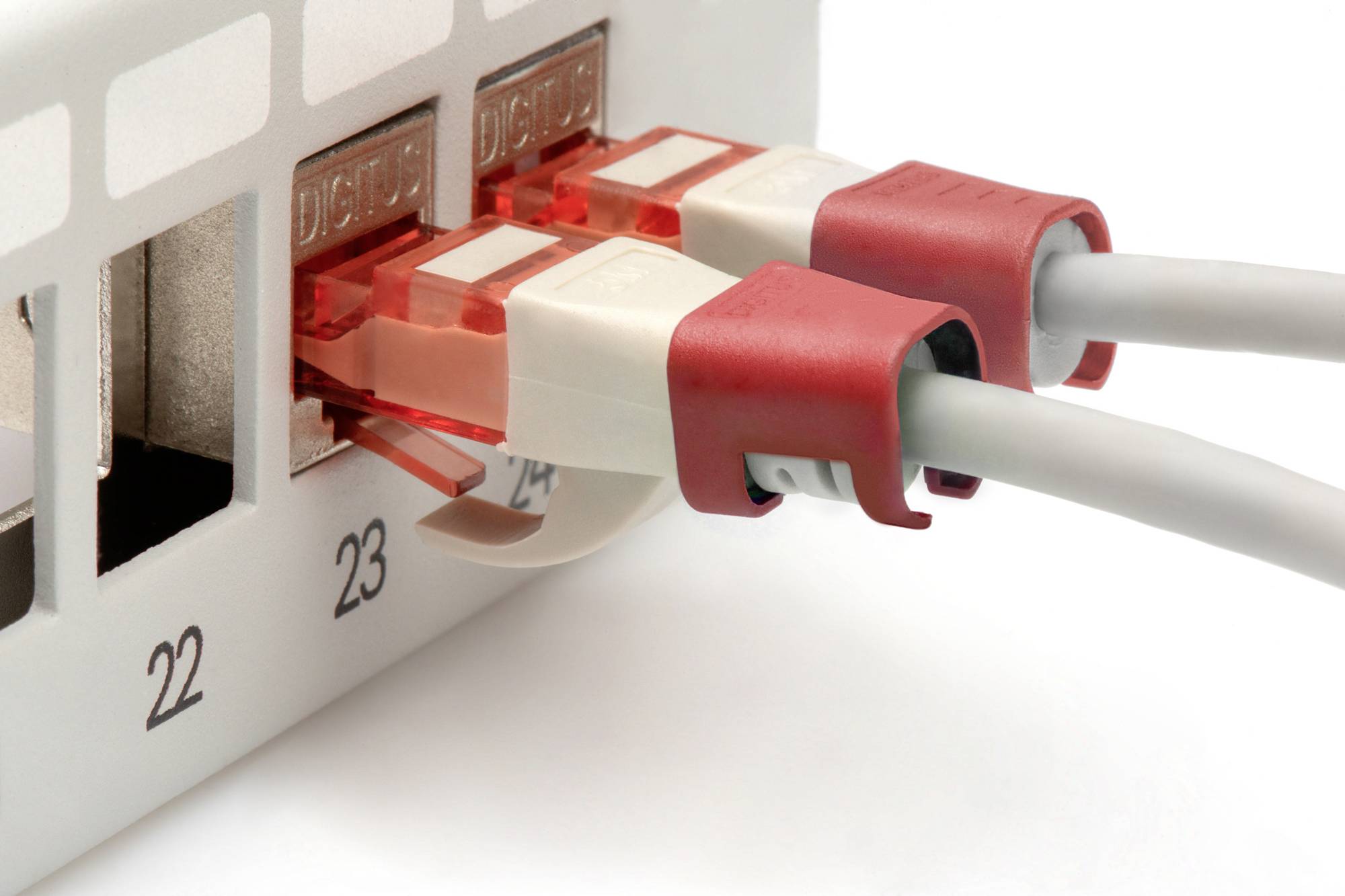 'Zwei Netzwerkkabel in roten Anschlüssen an einem Router oder Switch.'