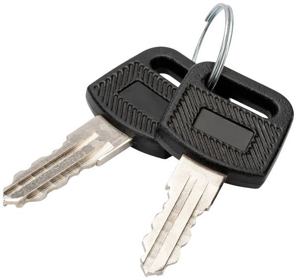 Digitus DN-KEY-WM 10 Zoll, 19 Zoll  Netzwerkschrank-Schlüssel      Schwarz, Silber
