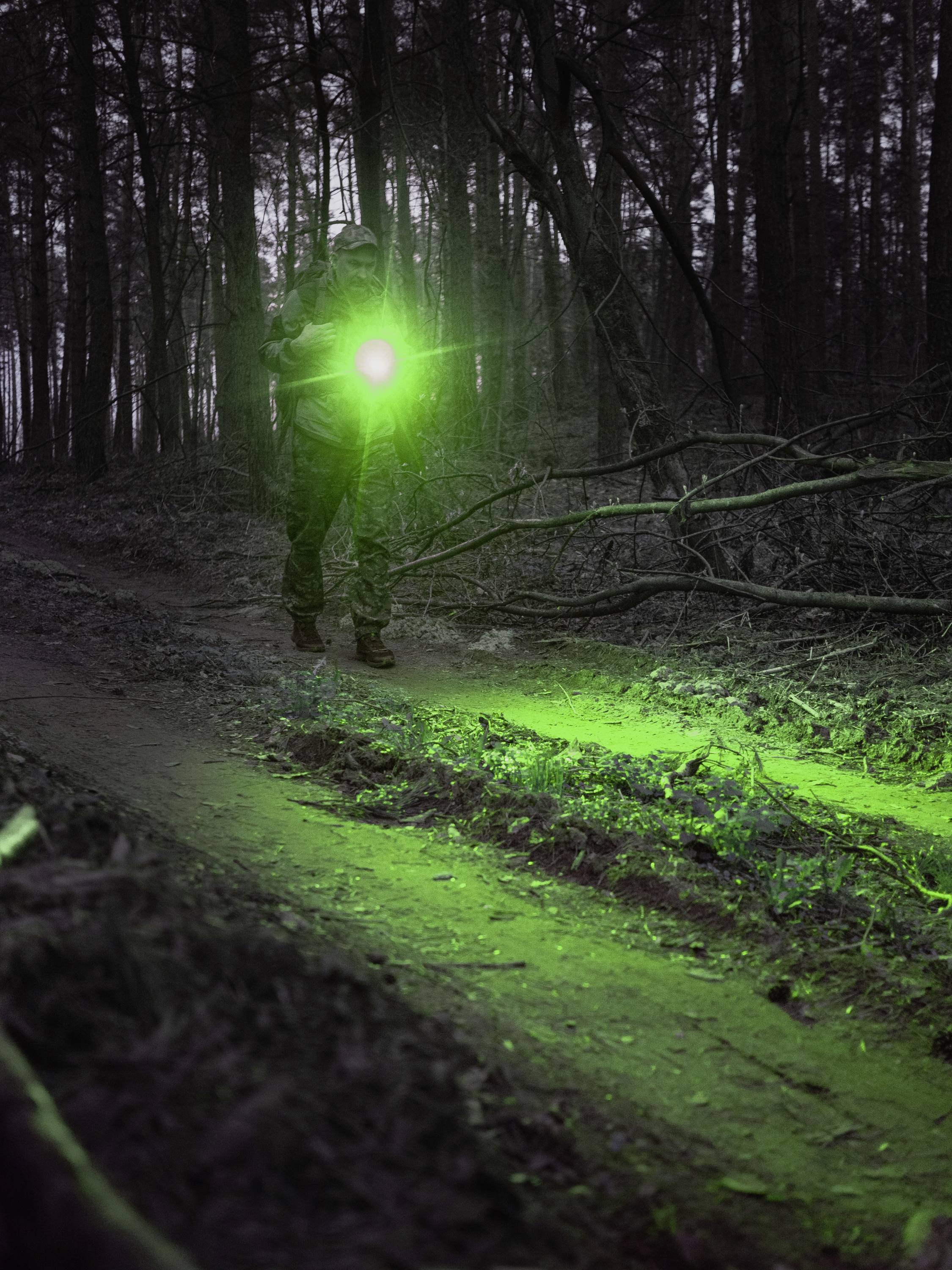 Eine Person im dunklen Wald leuchtet mit einer Taschenlampe einen grünen Weg aus. Die Szene vermittelt Nachtatmosphäre und Entdeckung.