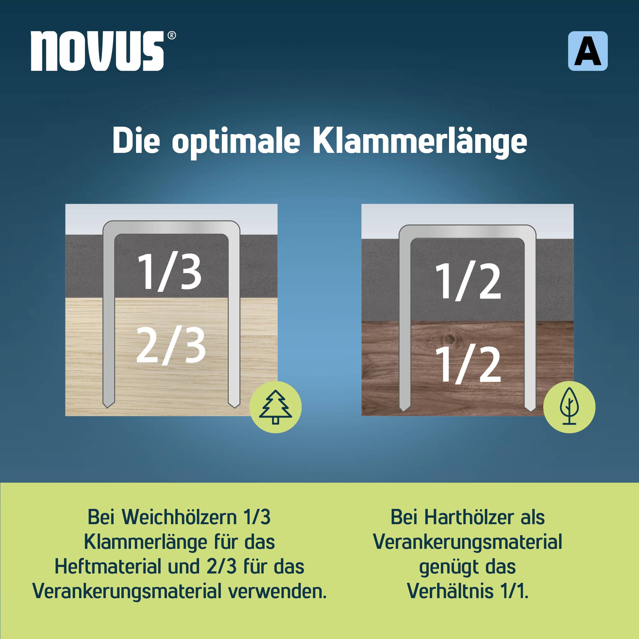 'Die optimale Klammerlänge': Diagramm zeigt zwei Stapellängenverhältnisse. Links: 1/3 für Weichholz, 2/3 für Material. Rechts: 1/2 für Hartholz.