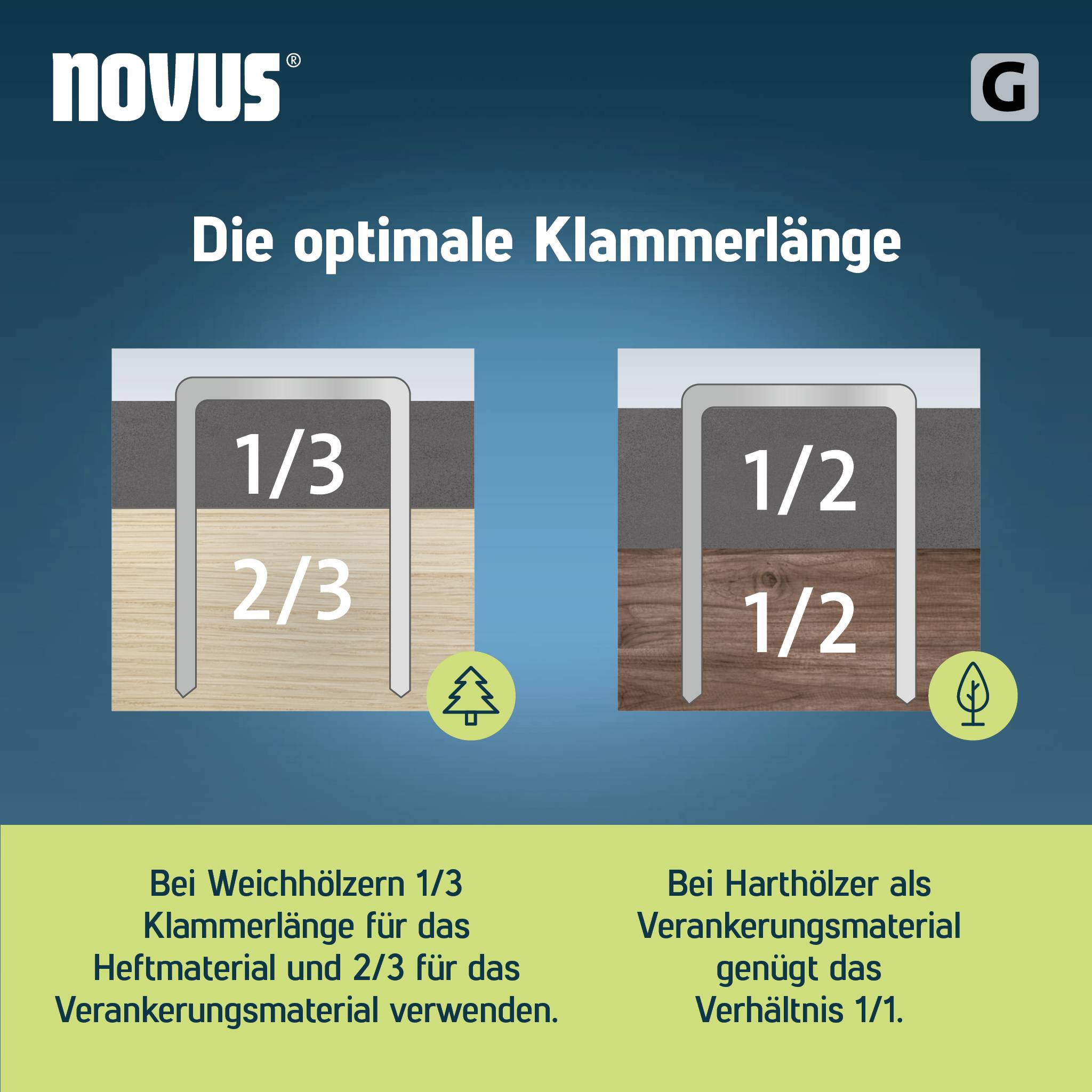 'Die optimale Klammerlänge': Zwei Diagramme zeigen Klammerlängen für Weich- und Harthölzer. Weichholz: 1/3 Heftmaterial, 2/3 Verankerung. Hartholz: Verhältnis 1/1.