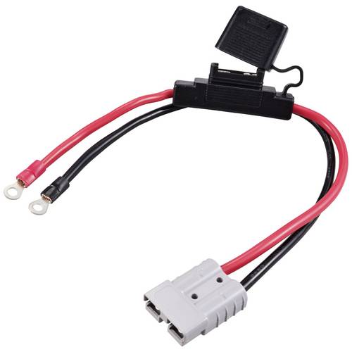 Thumbnail - Hochstromstecker auf M6-Ringkabelschuh, mit Sicherungshalter TC-12195704 Schwarz, Rot TRU COMPONENTS Inhalt: 1 St.