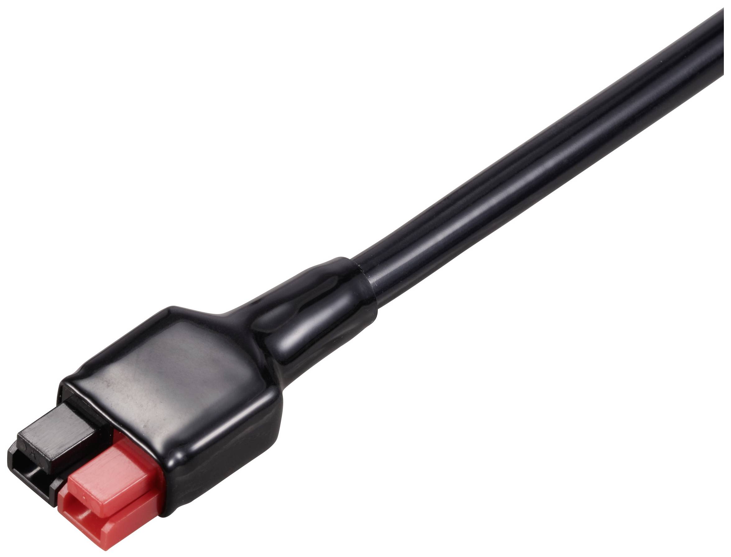 Schwarzes Kabel mit einem zweifarbigen Stecker, links schwarz, rechts rot.