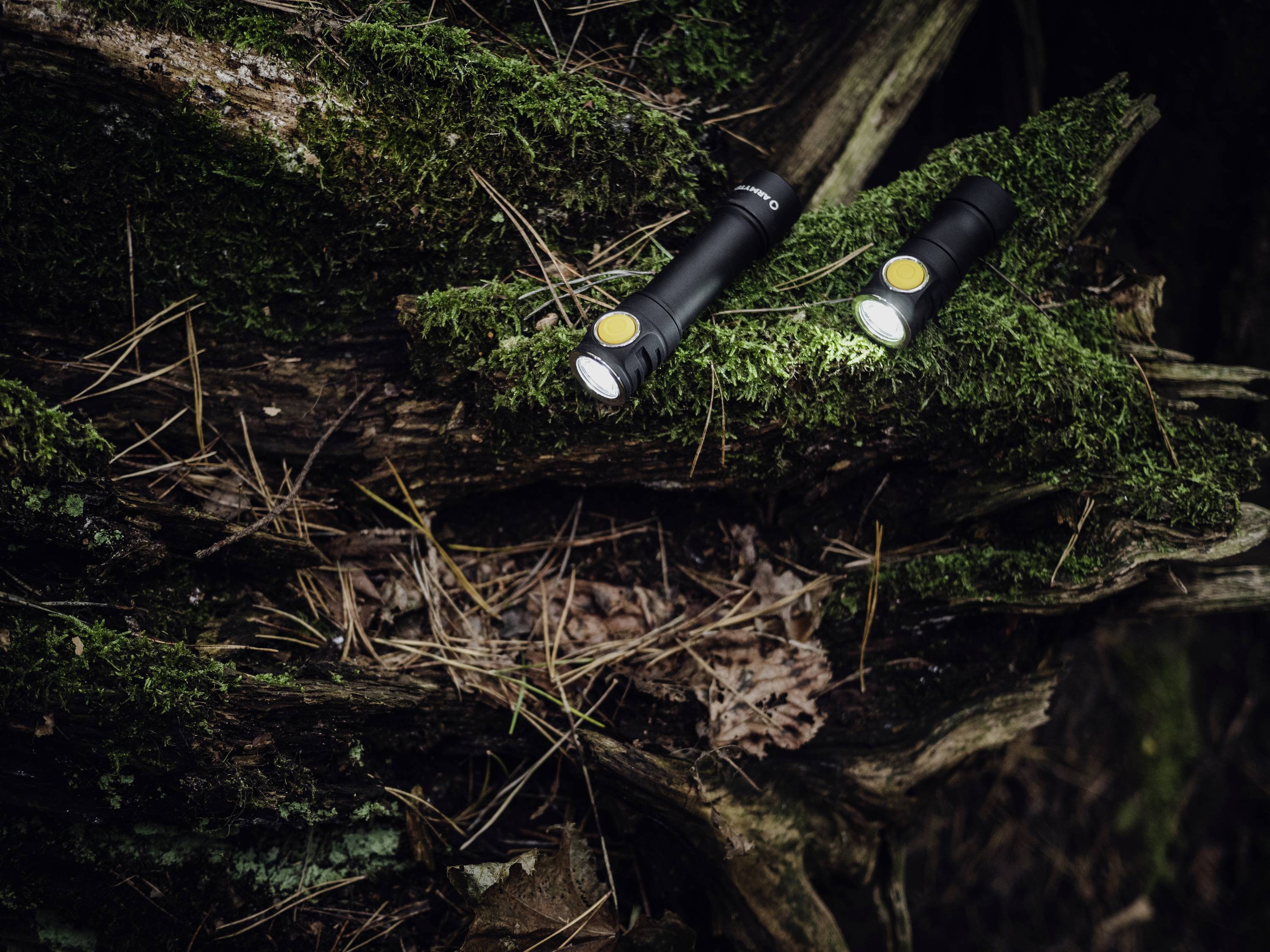 Zwei Taschenlampen liegen auf moosbedecktem Holz im Wald. Die Lampen leuchten hell und heben das Grün des Mooses hervor.