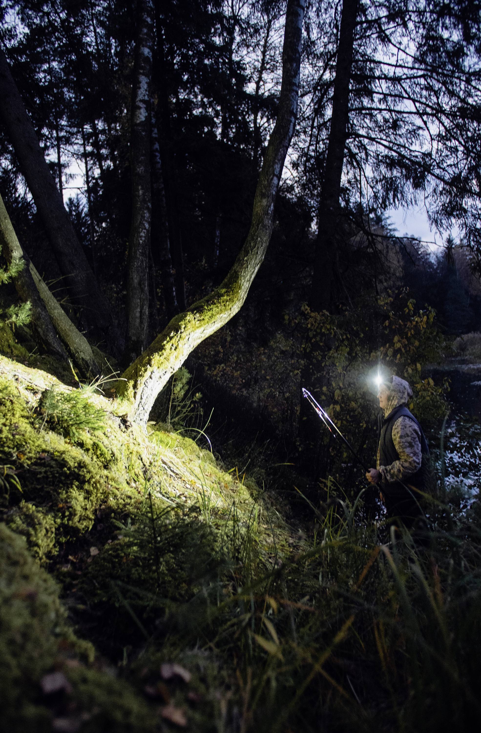Eine Person mit Stirnlampe steht im Wald neben einem moosbedeckten Baumstamm bei Dämmerung. Sie trägt Outdoor-Kleidung und hält einen Wanderstock.