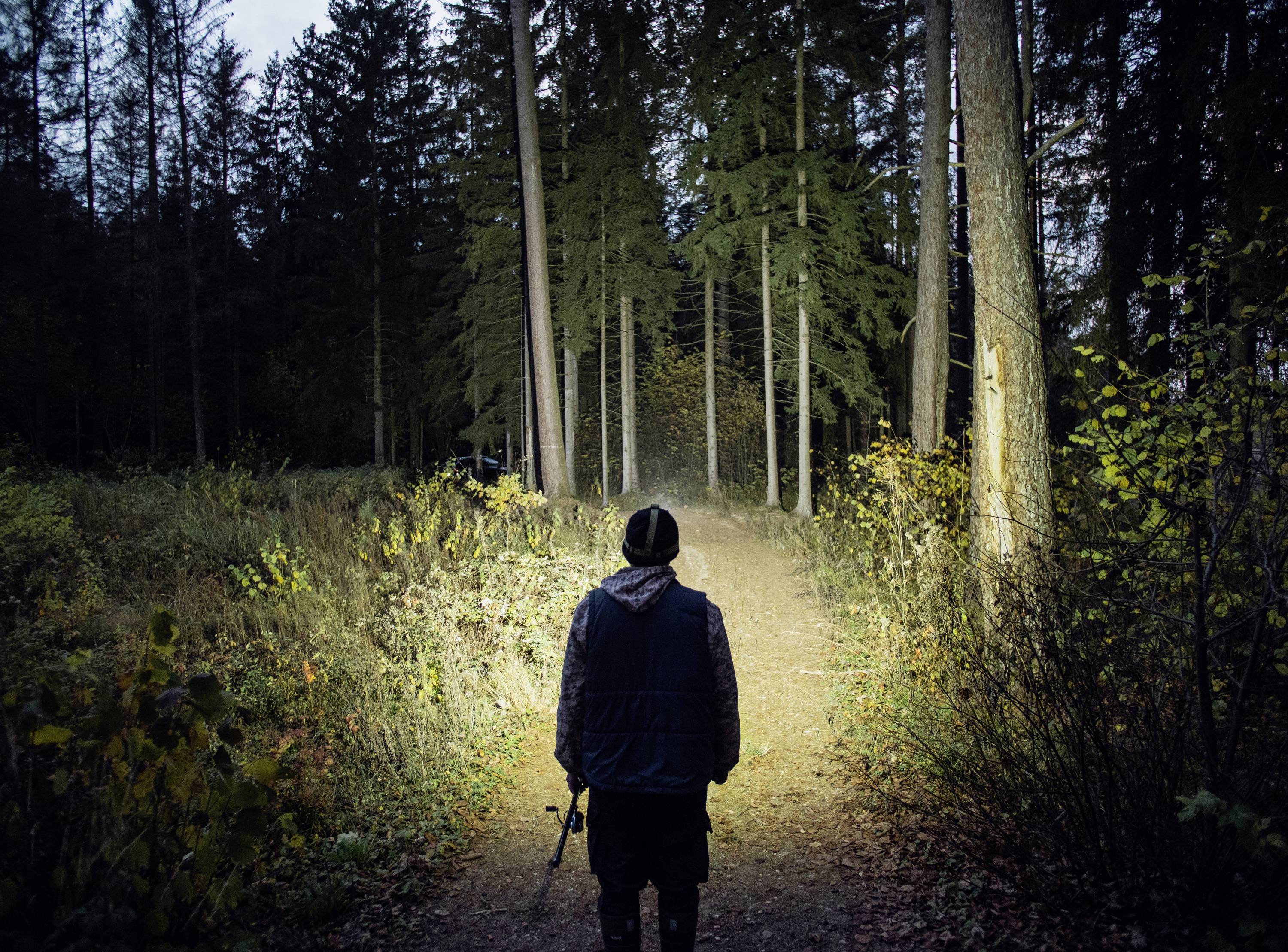 Eine Person steht nachts auf einem Waldweg, beleuchtet von einer Taschenlampe. Der dichte Wald umgibt den Pfad.