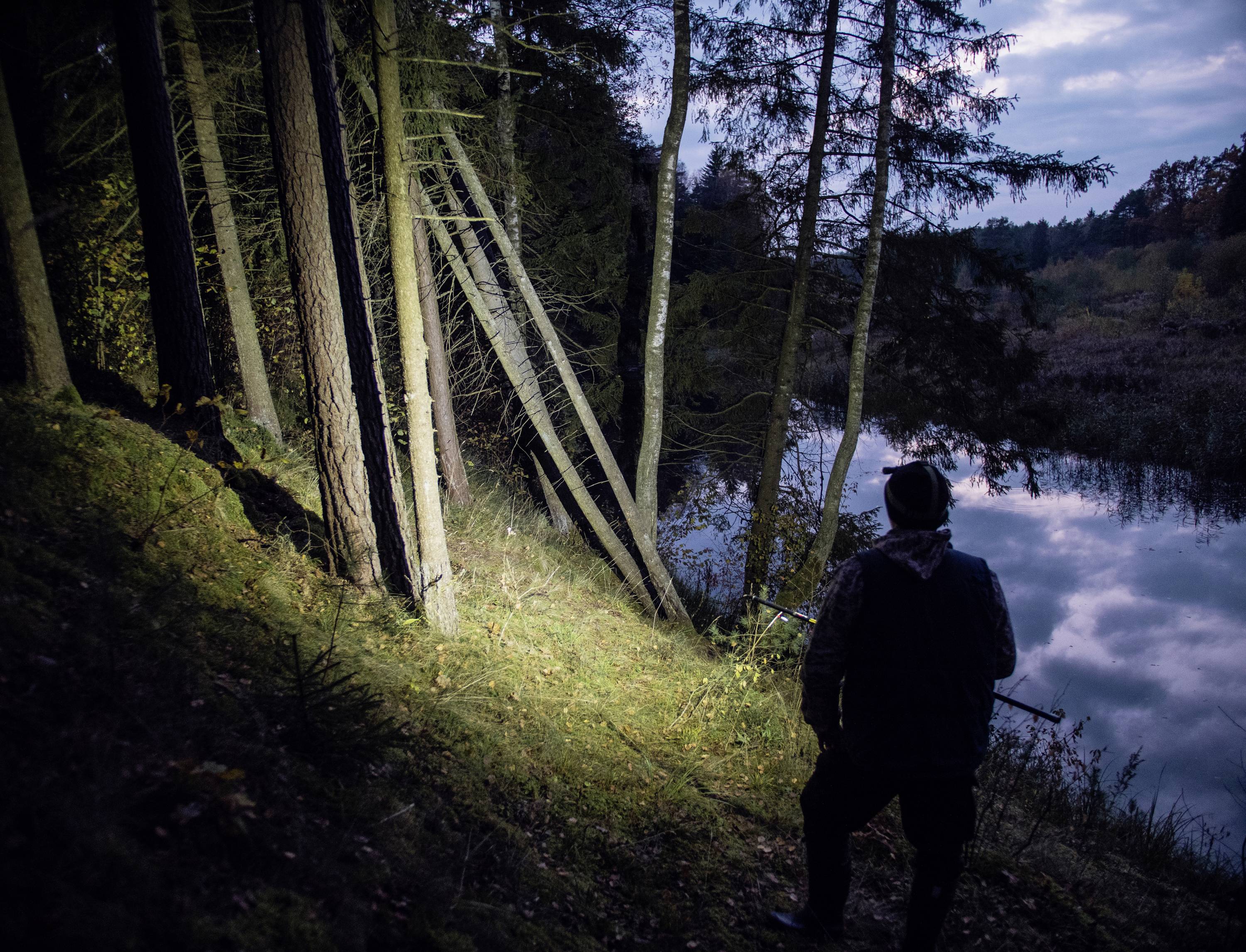 Eine Person steht mit Taschenlampe im Wald am Ufer eines Sees. Es ist Abend; das Wasser reflektiert den wolkigen Himmel.