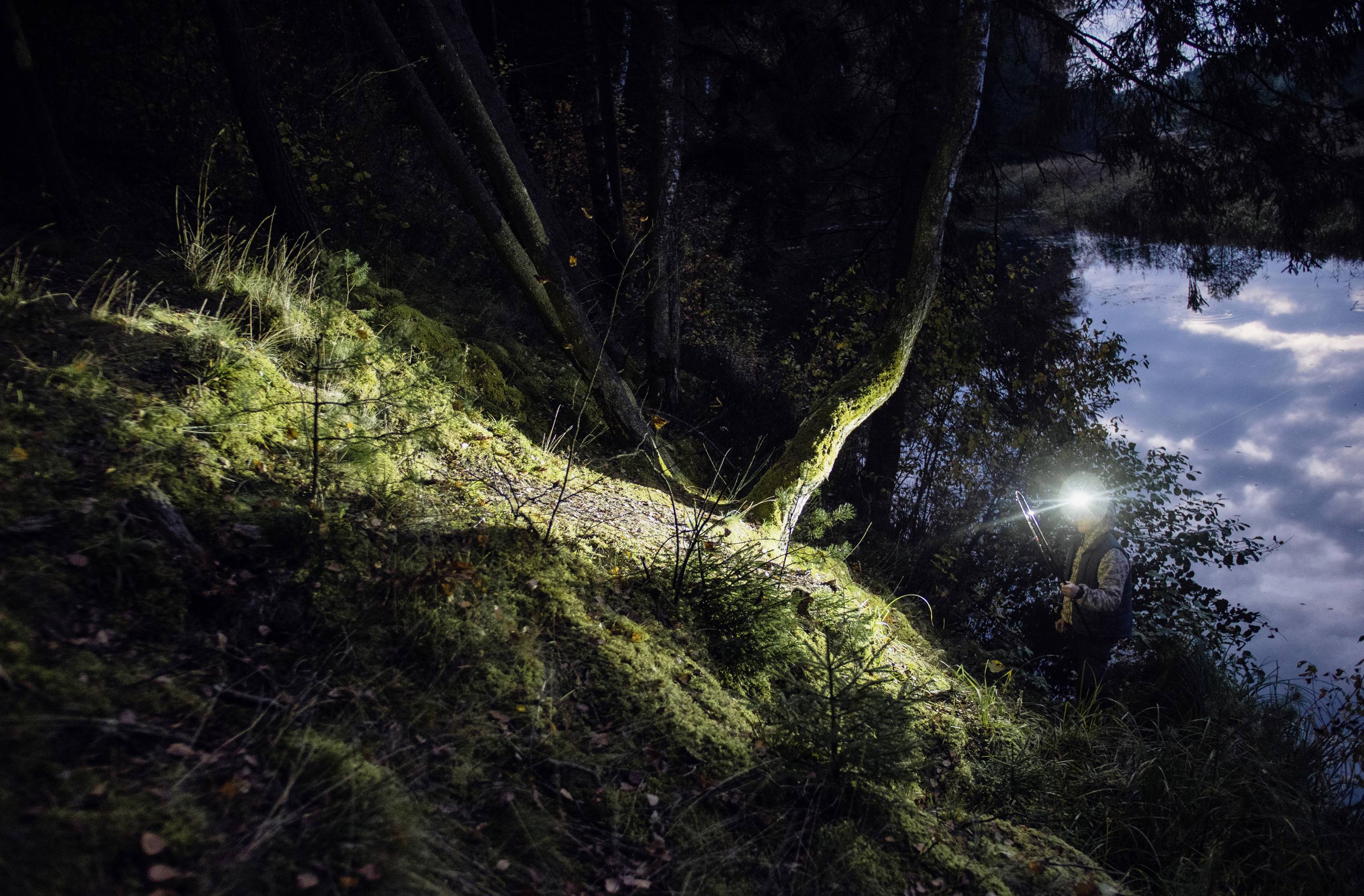 Eine Person mit Stirnlampe erkundet nachts einen bewaldeten Hang neben einem ruhigen See. Die Szenerie ist dunkel und mystisch.