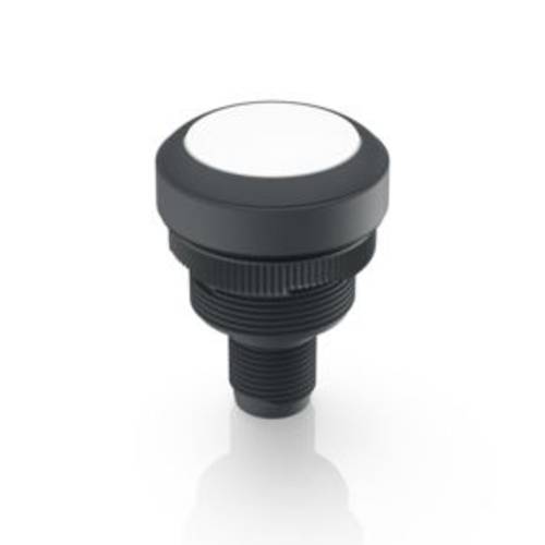 RAFI 1.10.011.001/0221 RAMO 22 T Drucktaster 35 V/DC 0.1 A tastend (L x B x H) 40 x 29.8 x 29.8 mm 1 St.