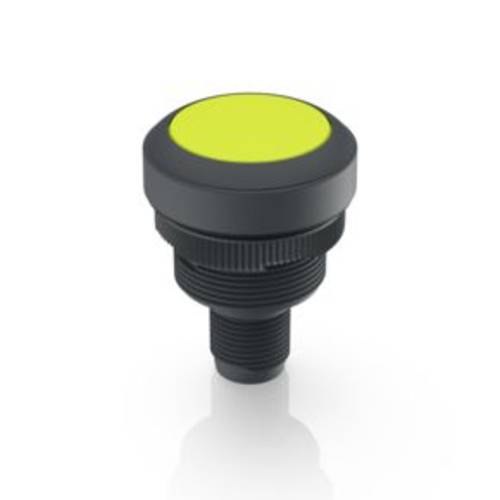 RAFI 1.10.011.001/0441 RAMO 22 T Drucktaster 35 V/DC 0.1 A tastend (L x B x H) 40 x 29.8 x 29.8 mm 1 St.