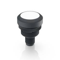 RAFI 1.10.011.201/0201 RAMO 22 T Drucktaster 35 V/DC 0.1 A tastend (L x B x H) 40 x 29.8 x 29.8 mm 1 St.