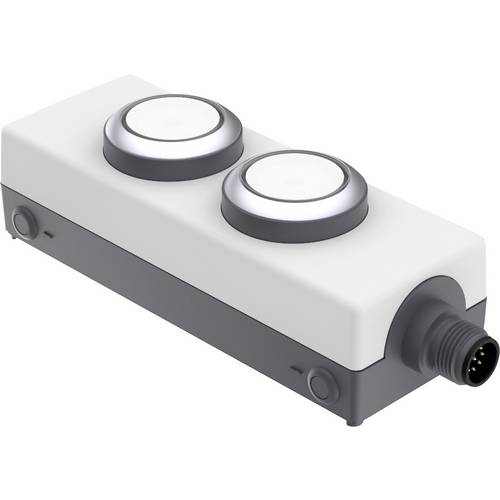 RAFI 1.22.392.392/2200 LDT091 Leuchtdrucktaster 24 V 0.5 A tastend (L x B x H) 123.2 x 40 x 35.6 mm 1 St.