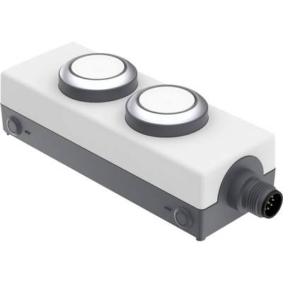 RAFI 1.22.392.392/2200 LDT091 Leuchtdrucktaster 24 V 0.5 A tastend (L x B x H) 123.2 x 40 x 35.6 mm 1 St.-0