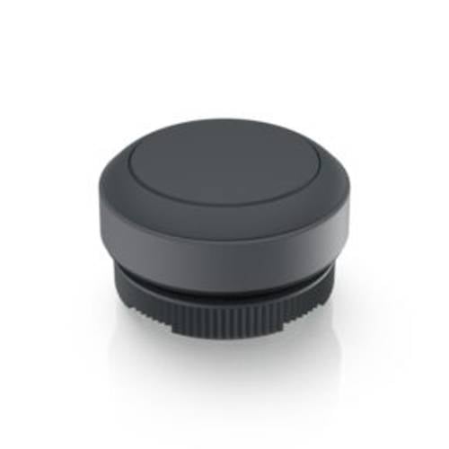 RAFI 1.30.270.001/0101 RAFIX 22 FS Drucktaster tastend (L x B x H) 29.8 x 29.8 x 18.5 mm 1 St.