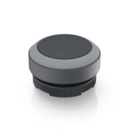 RAFI 1.30.270.001/0108 RAFIX 22 FS Drucktaster tastend (L x B x H) 29.8 x 29.8 x 18.5 mm 1 St.