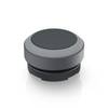 RAFI 1.30.270.001/0108 RAFIX 22 FS Drucktaster tastend (L x B x H) 29.8 x 29.8 x 18.5 mm 1 St.