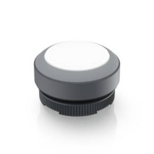 RAFI 1.30.270.001/2208 RAFIX 22 FS Leuchtdrucktaster tastend (L x B x H) 29.8 x 29.8 x 18.5 mm 1 St.