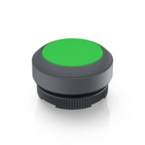 RAFI 1.30.270.001/2507 RAFIX 22 FS Leuchtdrucktaster tastend (L x B x H) 29.8 x 29.8 x 18.5 mm 1 St.