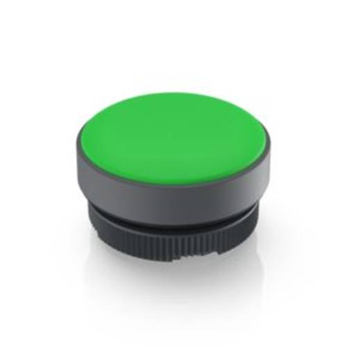 RAFI 1.74.508.001/2500 Leuchtvorsatz Grün 1 St.