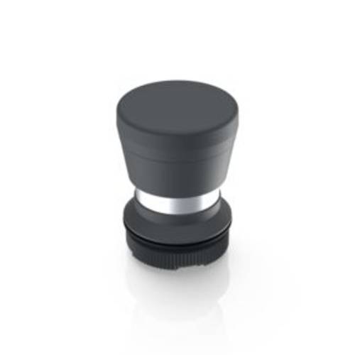 RAFI 1.30.276.701/0000 RAFIX 22 FS Pilzdrucktaster tastend (L x B x H) 29.8 x 29.8 x 42.1 mm 1 St.