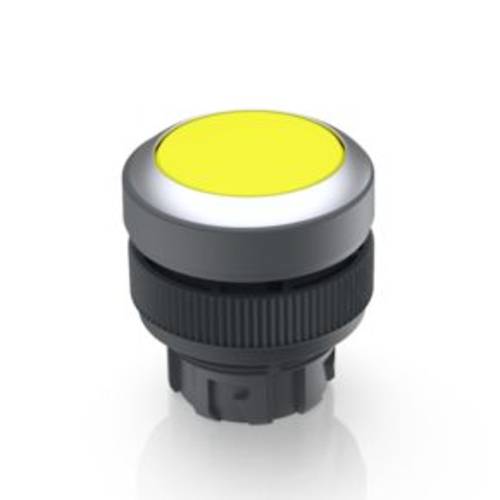 RAFI 1.30.240.021/1400 RAFIX 22 QR Drucktaster tastend (L x B x H) 29.8 x 29.8 x 32.3 mm 1 St.