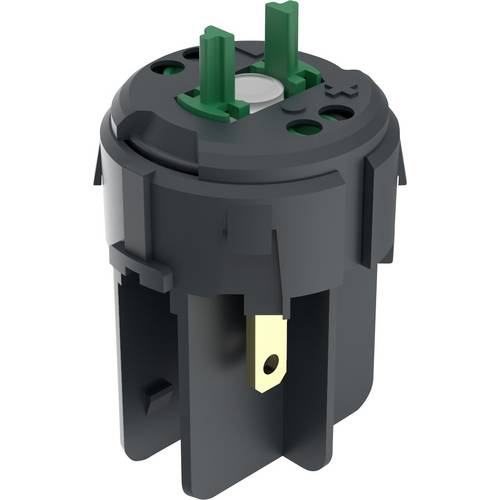 RAFI 1.20.126.702/9000 Schaltelement 1 Schließer 250 V 1 St.