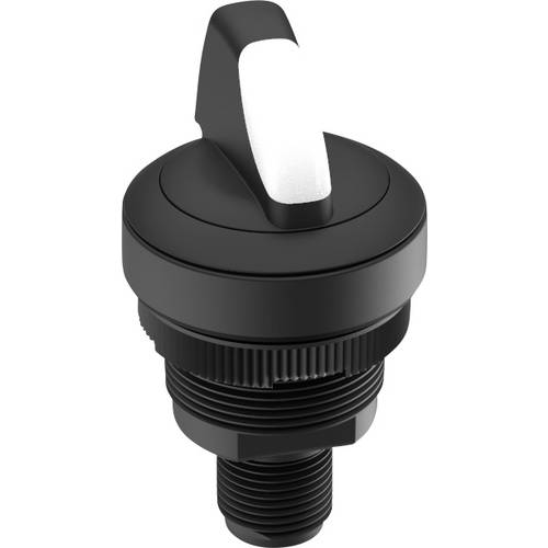 RAFI 1.10.021.005/0021 RAMO 22 Drehschalter 32 V 0.1 A 2 x 60 ° 1 St.