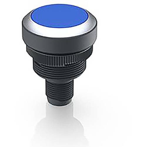 RAFI 1.10.011.001/0660 RAMO 22 T Drucktaster 35 V 0.1 A 1 St.